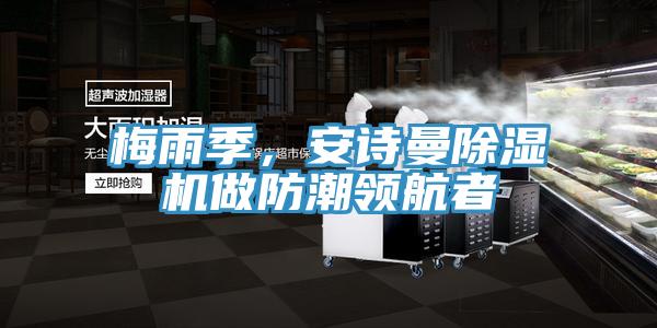 梅雨季，91看片免费下载91看片网站做防潮領航者