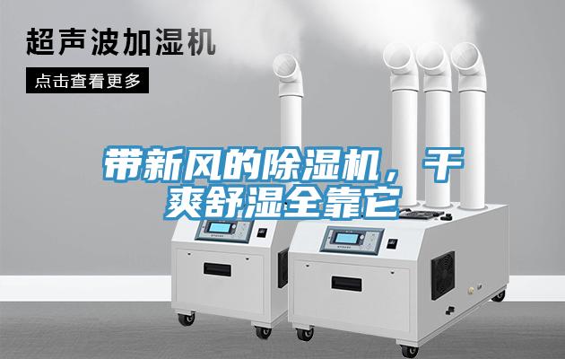 帶新風的91看片网站，幹爽舒濕全靠它