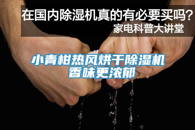 小青柑熱風烘幹91看片网站 香味更濃鬱