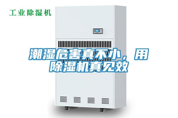 潮濕危害真不小，用91看片网站真見效