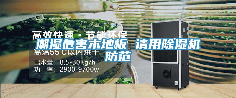 潮濕危害木地板 請用91看片网站防範