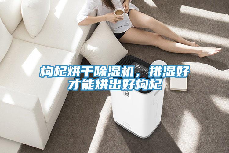 枸杞烘幹91看片网站，排濕好才能烘出好枸杞