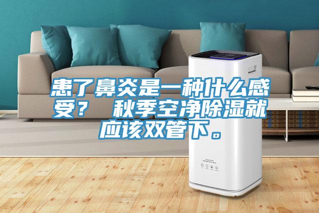 患了鼻炎是一種什麽感受？ 秋季空淨除濕就應該雙管下。