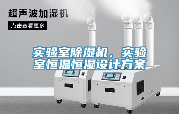 實驗室91看片网站，實驗室恒溫恒濕設計方案