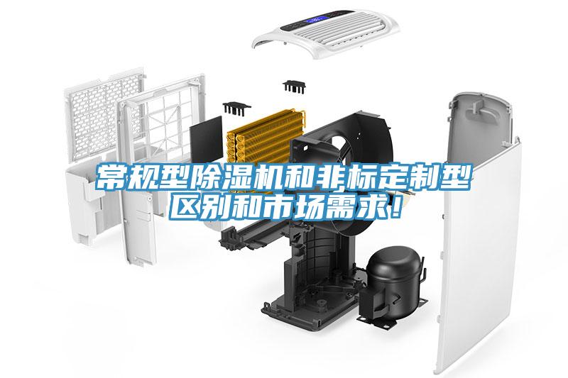 常規型91看片网站和非標定製型區別和市場需求！