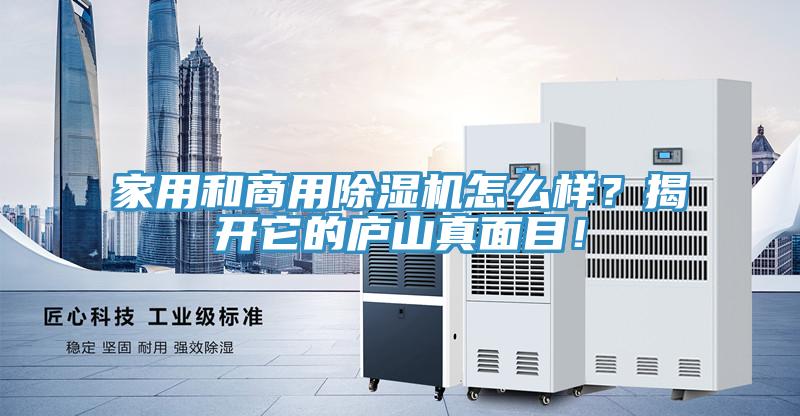 家用和商用91看片网站怎麽樣？揭開它的廬山真麵目！