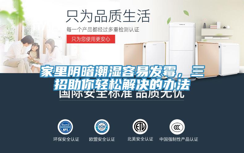 家裏陰暗潮濕容易發黴，三招助你輕鬆解決的辦法