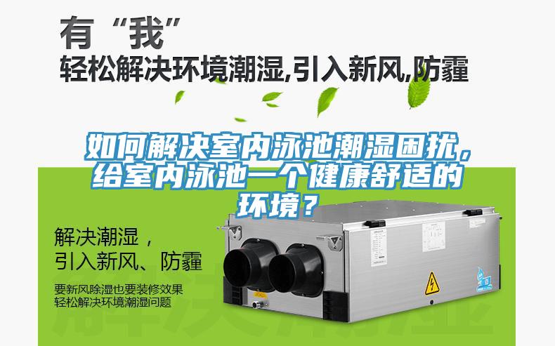 如何解決室內泳池潮濕困擾，給室內泳池一個健康舒適的環境？