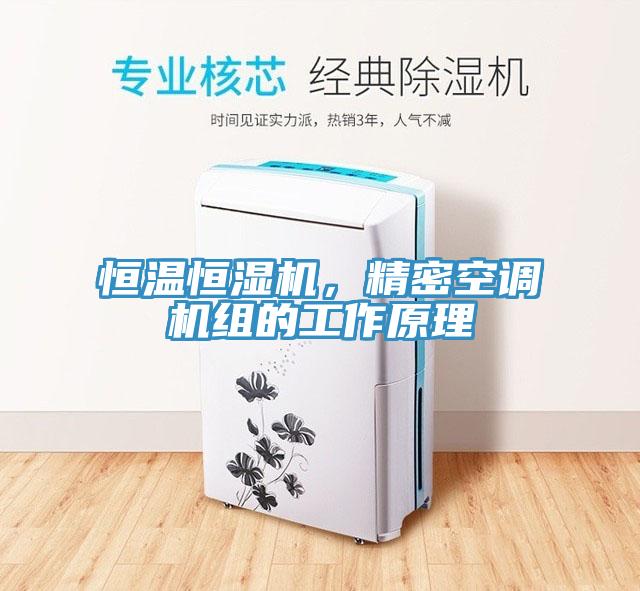 恒溫恒濕機，精密空調機組的工作原理