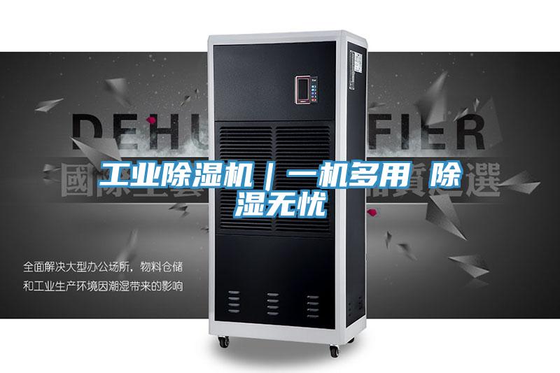 工業91看片网站｜一機多用 除濕無憂