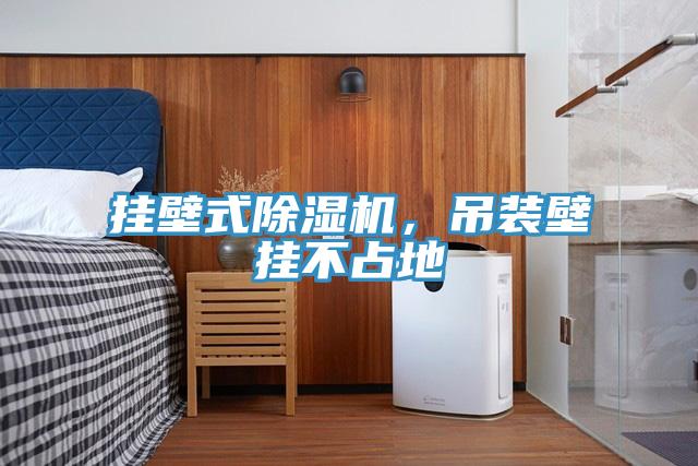 掛壁式91看片网站，吊裝壁掛不占地
