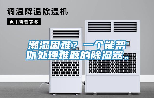 潮濕困難？一個能幫你處理難題的除濕器。
