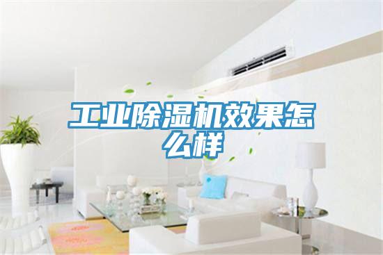 工業91看片网站效果怎麽樣
