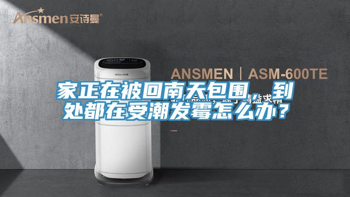 家正在被回南天包圍，到處都在受潮發黴怎麽辦？