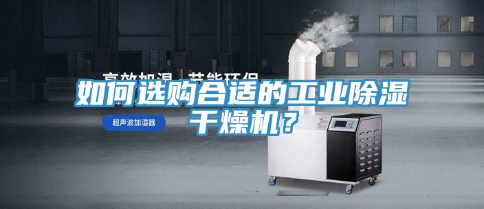 如何選購合適的工業除濕幹燥機？