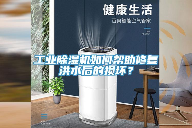 工業91看片网站如何幫助修複洪水後的損壞？