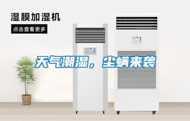 天氣潮濕，塵蟎來襲