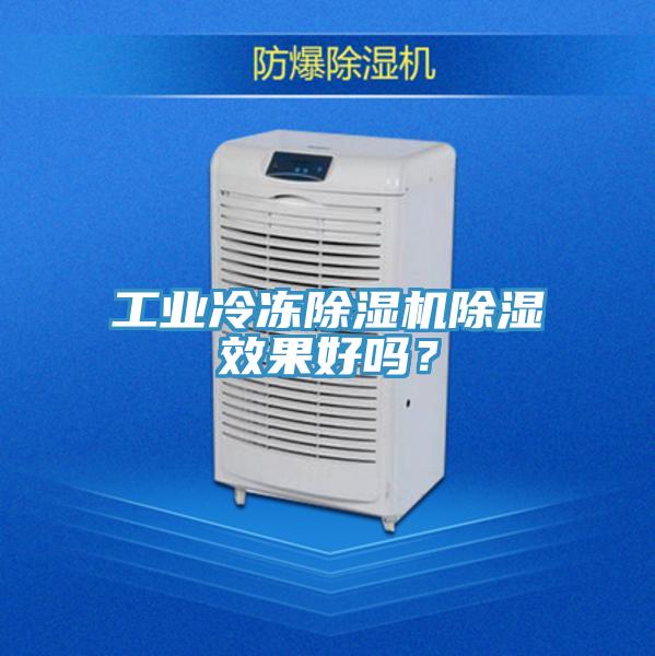 工業冷凍91看片网站除濕效果好嗎？