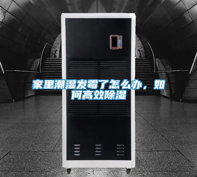 家裏潮濕發黴了怎麽辦，如何高效除濕