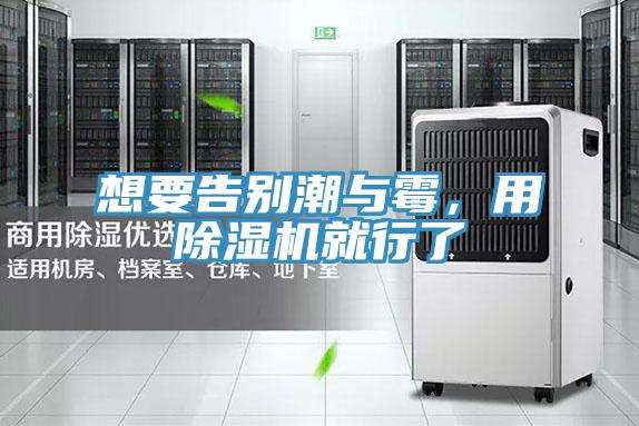 想要告別潮與黴，用91看片网站就行了
