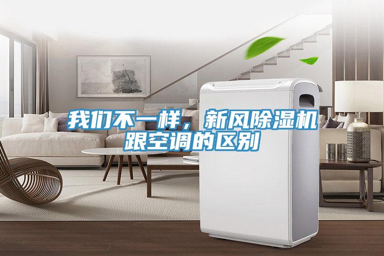 91看片免费下载不一樣，新風91看片网站跟空調的區別