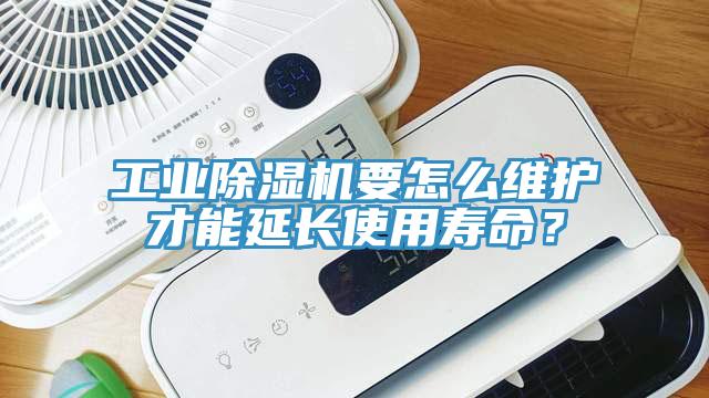 工業91看片网站要怎麽維護才能延長使用壽命？