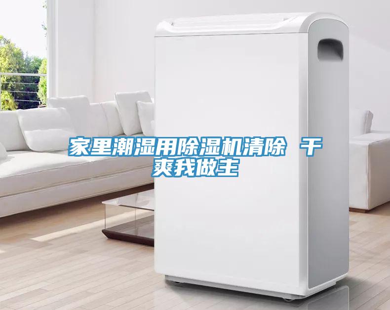 家裏潮濕用91看片网站清除 幹爽我做主