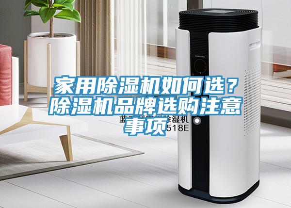 家用91看片网站如何選？91看片网站品牌選購注意事項