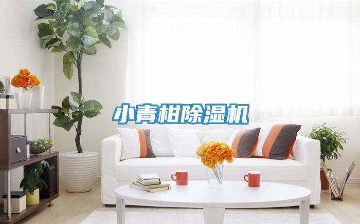 小青柑91看片网站