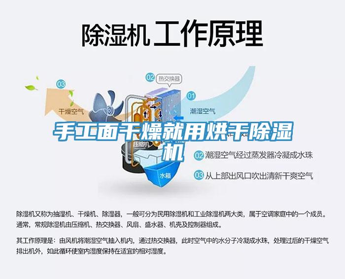 手工麵幹燥就用烘幹91看片网站