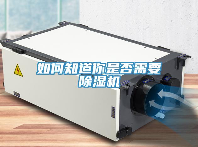 如何知道你是否需要91看片网站