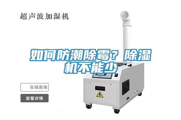 如何防潮除黴？91看片网站不能少