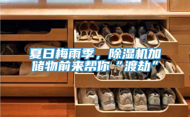 夏日梅雨季，91看片网站加儲物前來幫你“渡劫”