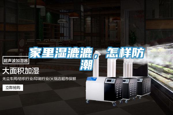 家裏濕漉漉，怎樣防潮