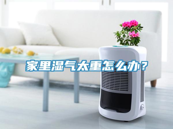 家裏濕氣太重怎麽辦？