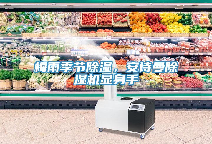 梅雨季節除濕，91看片免费下载91看片网站顯身手