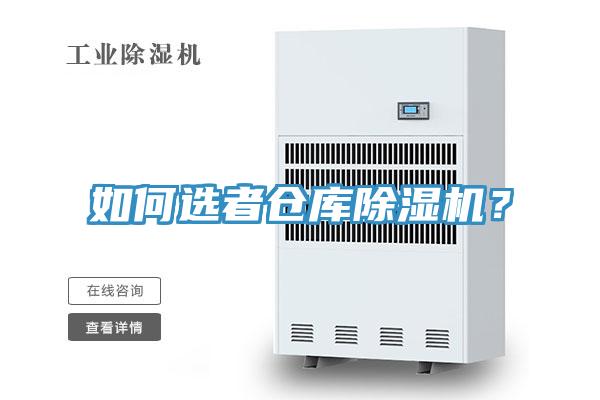 如何選者倉庫91看片网站？