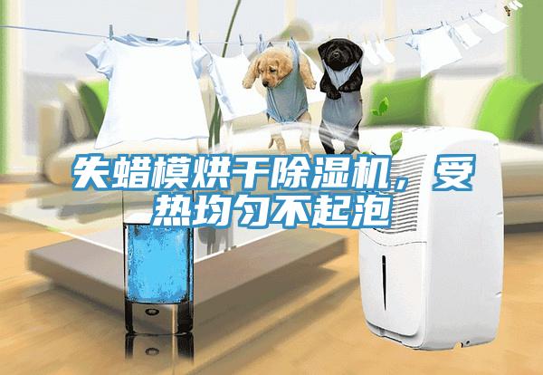 失蠟模烘幹91看片网站，受熱均勻不起泡