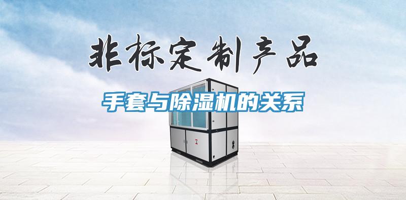 手套與91看片网站的關係