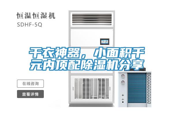 幹衣神器，小麵積千元內頂配91看片网站分享