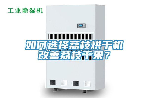 如何選擇荔枝烘幹機改善荔枝幹果？