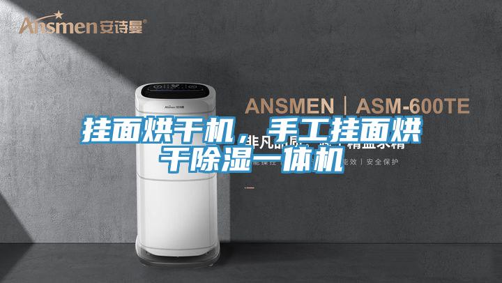 掛麵烘幹機，手工掛麵烘幹除濕一體機