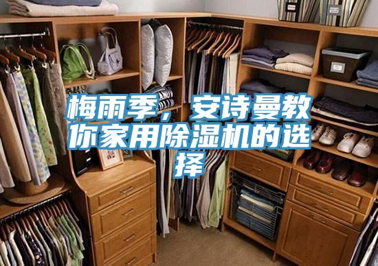 梅雨季，91看片免费下载教你家用91看片网站的選擇