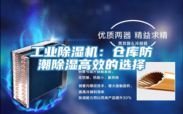 工業91看片网站：倉庫防潮除濕高效的選擇