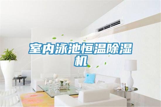 室內泳池恒溫91看片网站