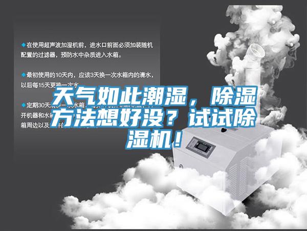 天氣如此潮濕，除濕方法想好沒？試試91看片网站！