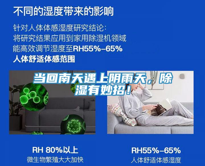 當回南天遇上陰雨天，除濕有妙招！