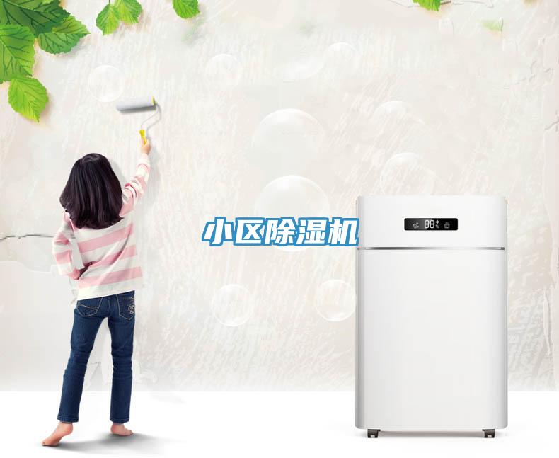 小區91看片网站