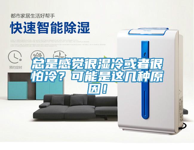 總是感覺很濕冷或者很怕冷？可能是這幾種原因！