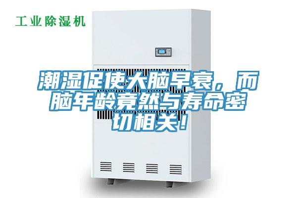 潮濕促使大腦早衰，而腦年齡竟然與壽命密切相關！